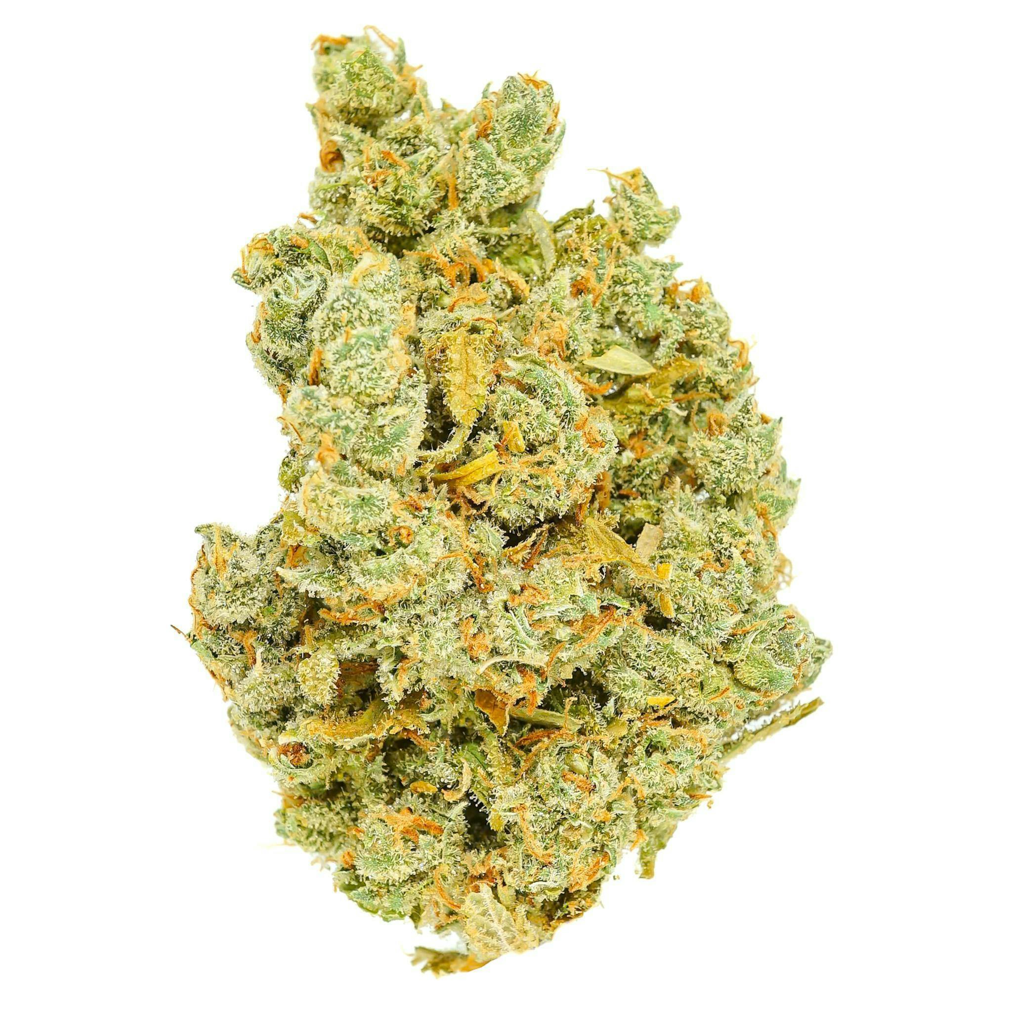 Prūf Jack Herer Flower