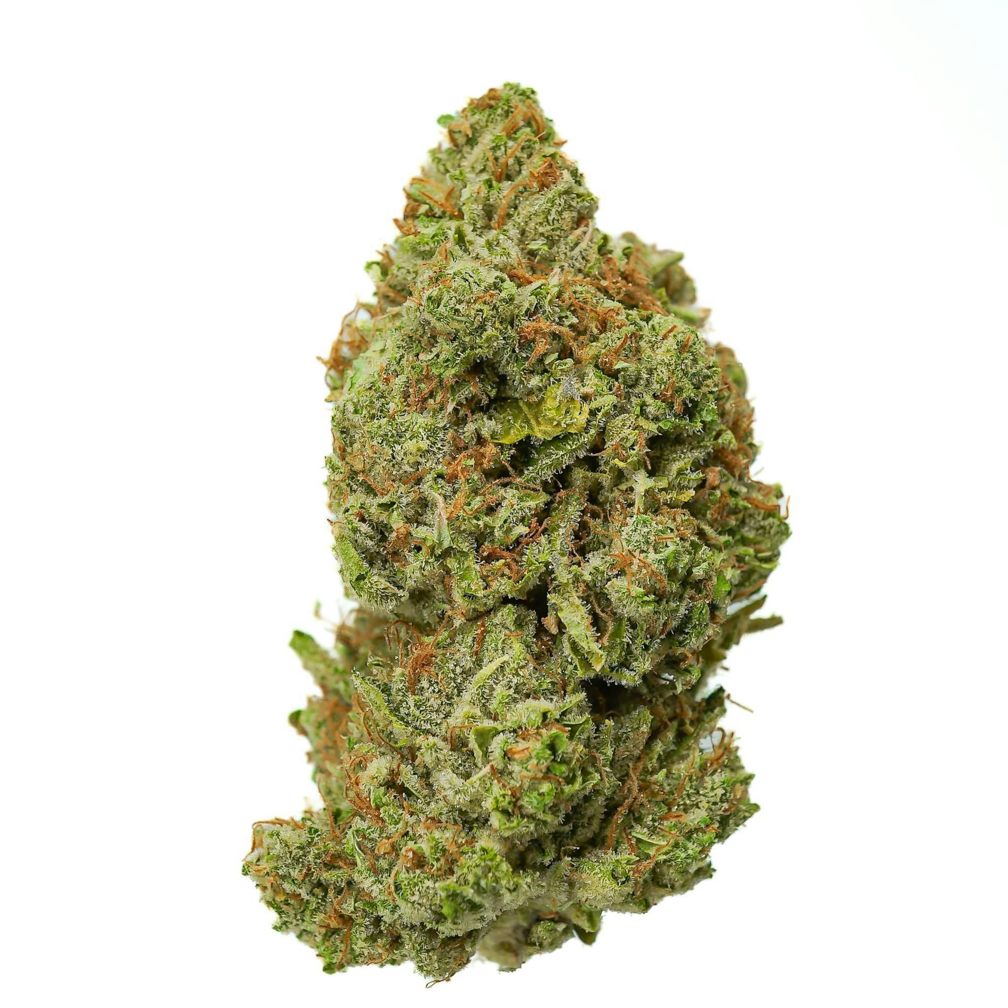 Prūf Cultivar: Blank Check