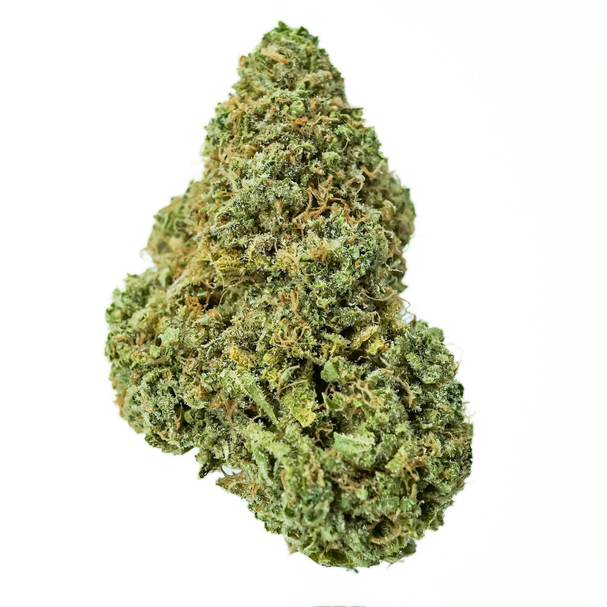 Prūf Cultivar: Rainbow Belts