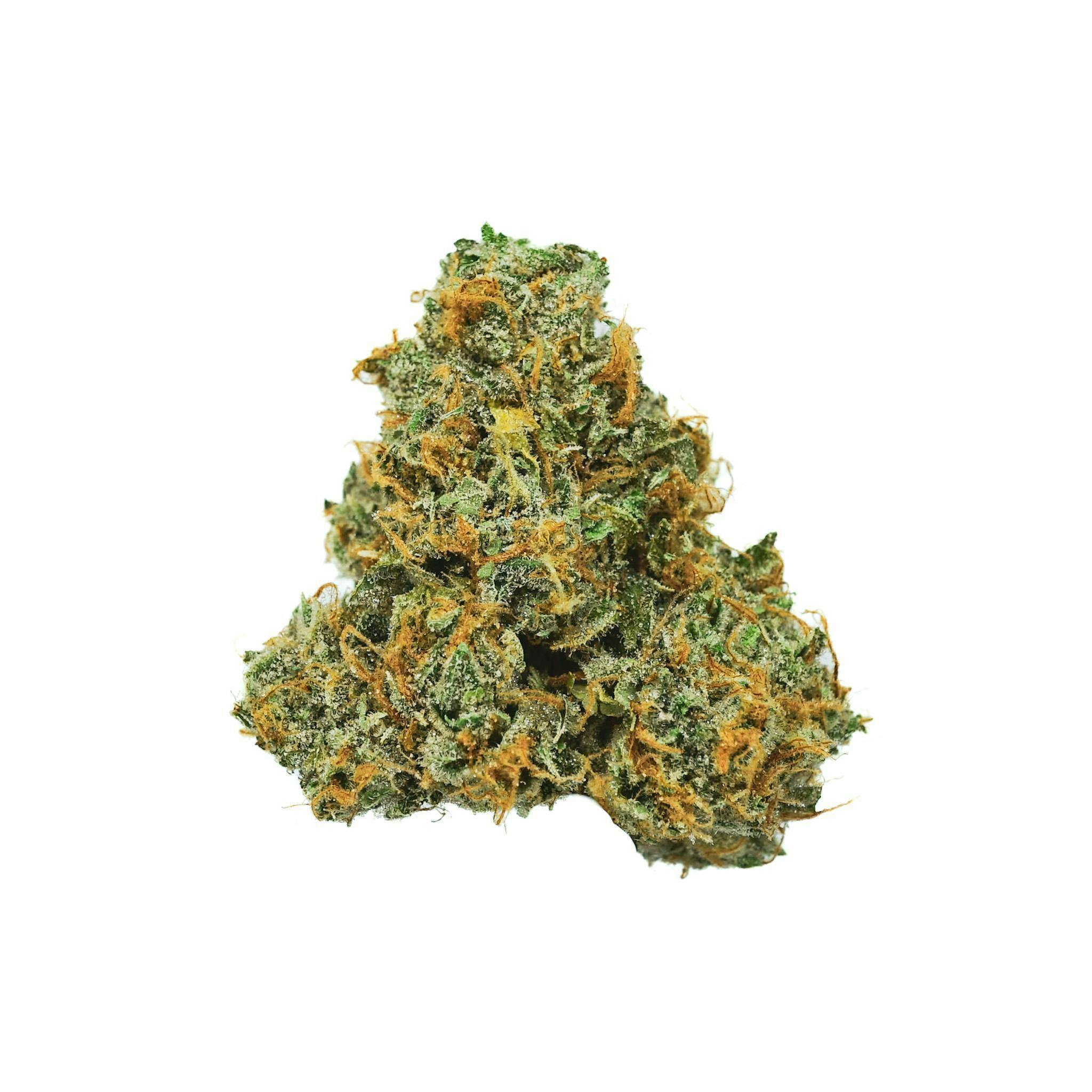 Key Lime Guava #10 Flower