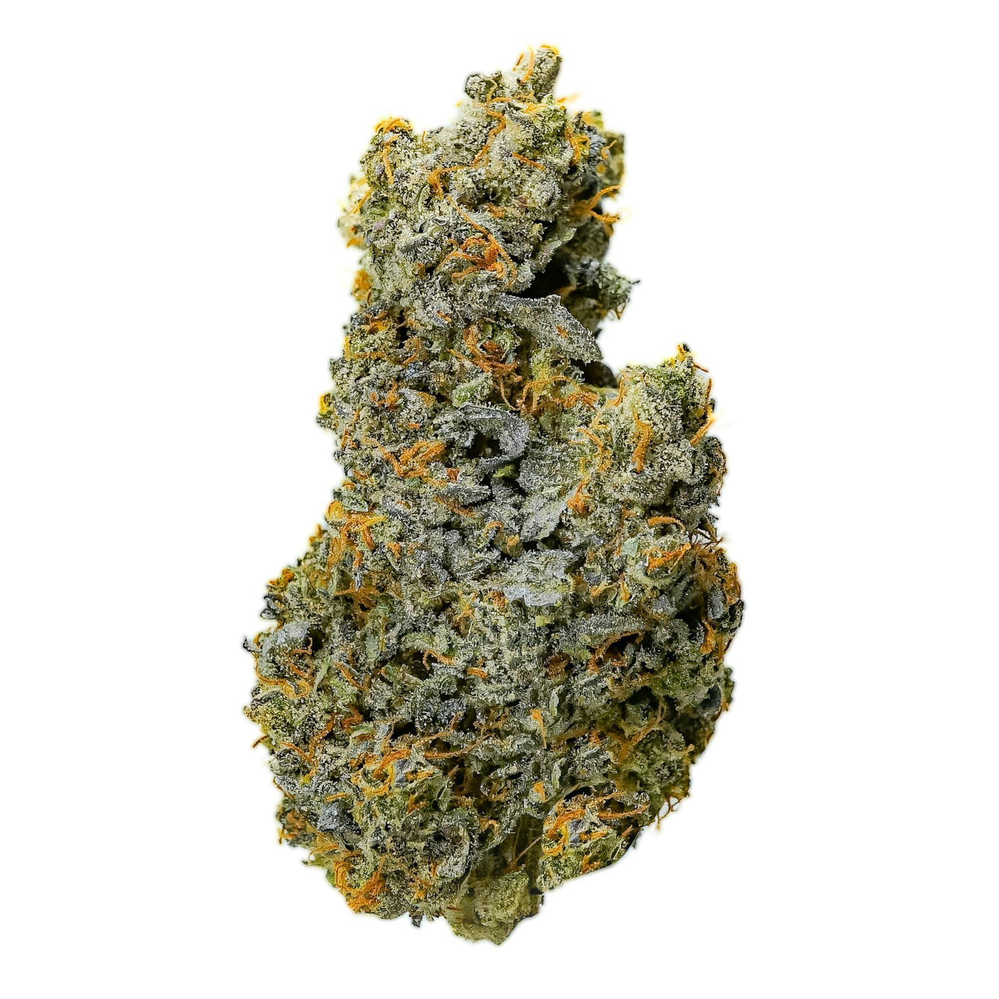 Prūf Cultivar: Piescream #8