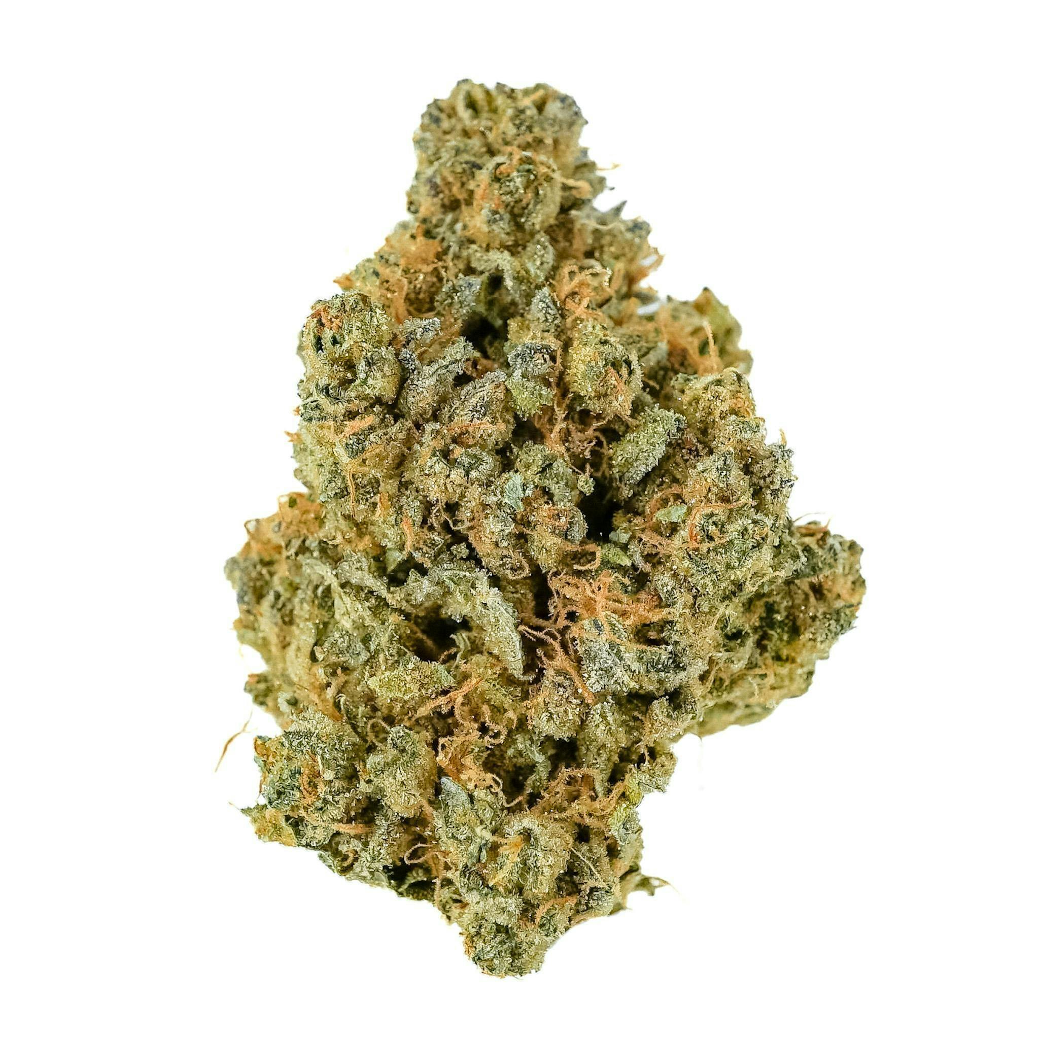 Prūf Prodigy #10 Flower