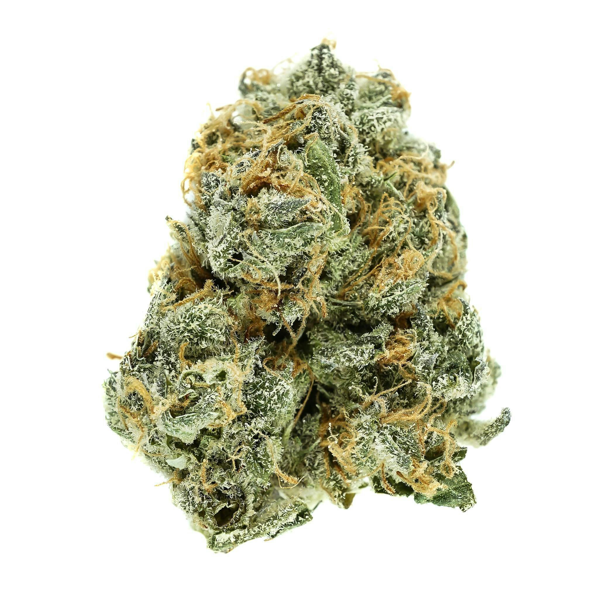 Prūf Tangie Biscotti Flower