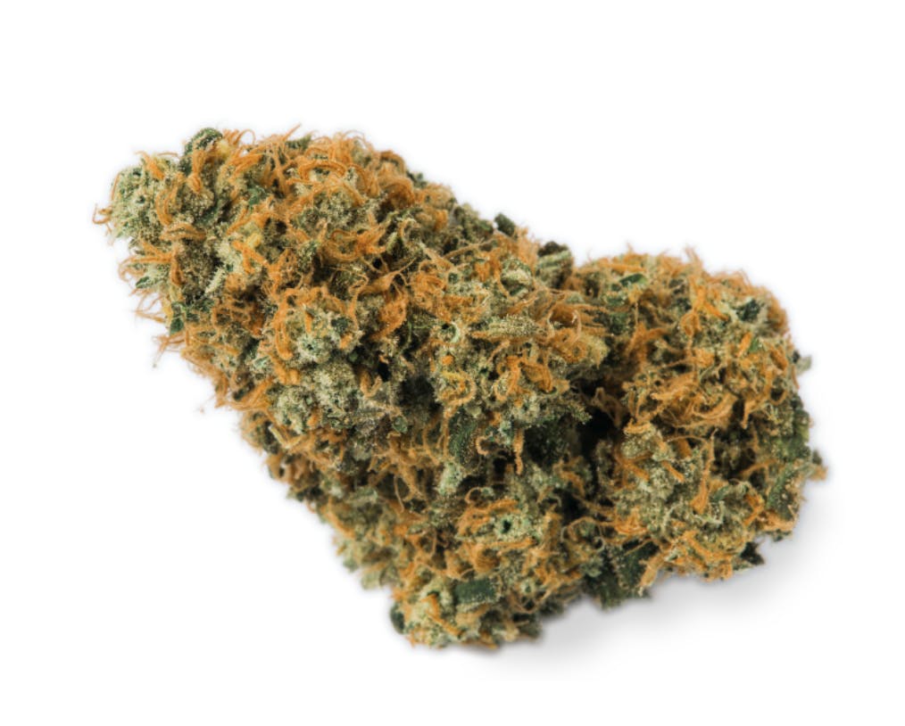 Prūf Cultivar: OG Kush