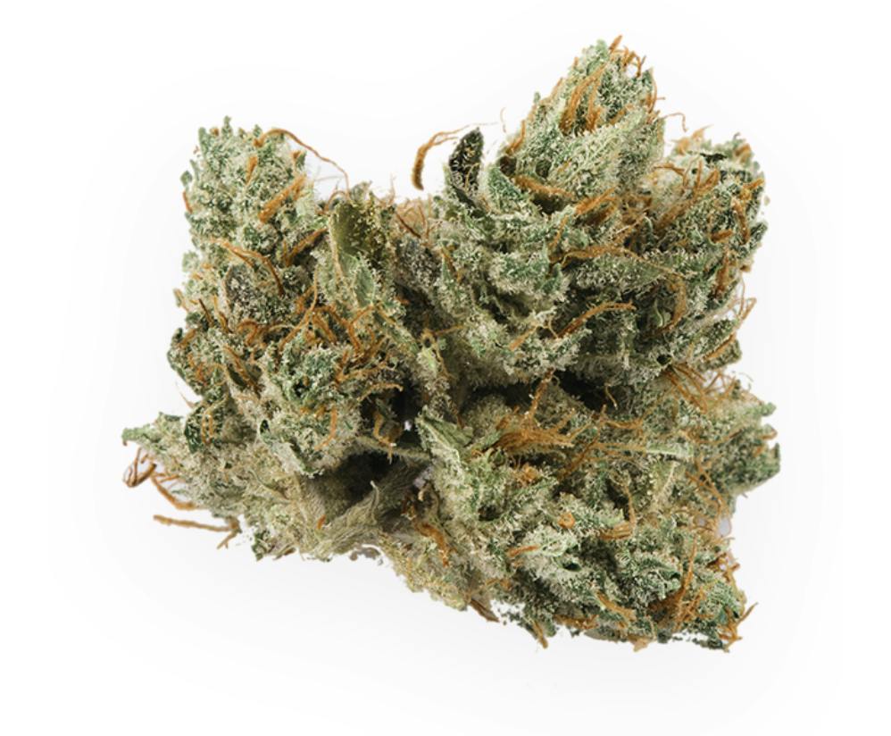 Prūf Cultivar | Platinum OG Kush | Smalls | 7G - Prūf Cultivar
