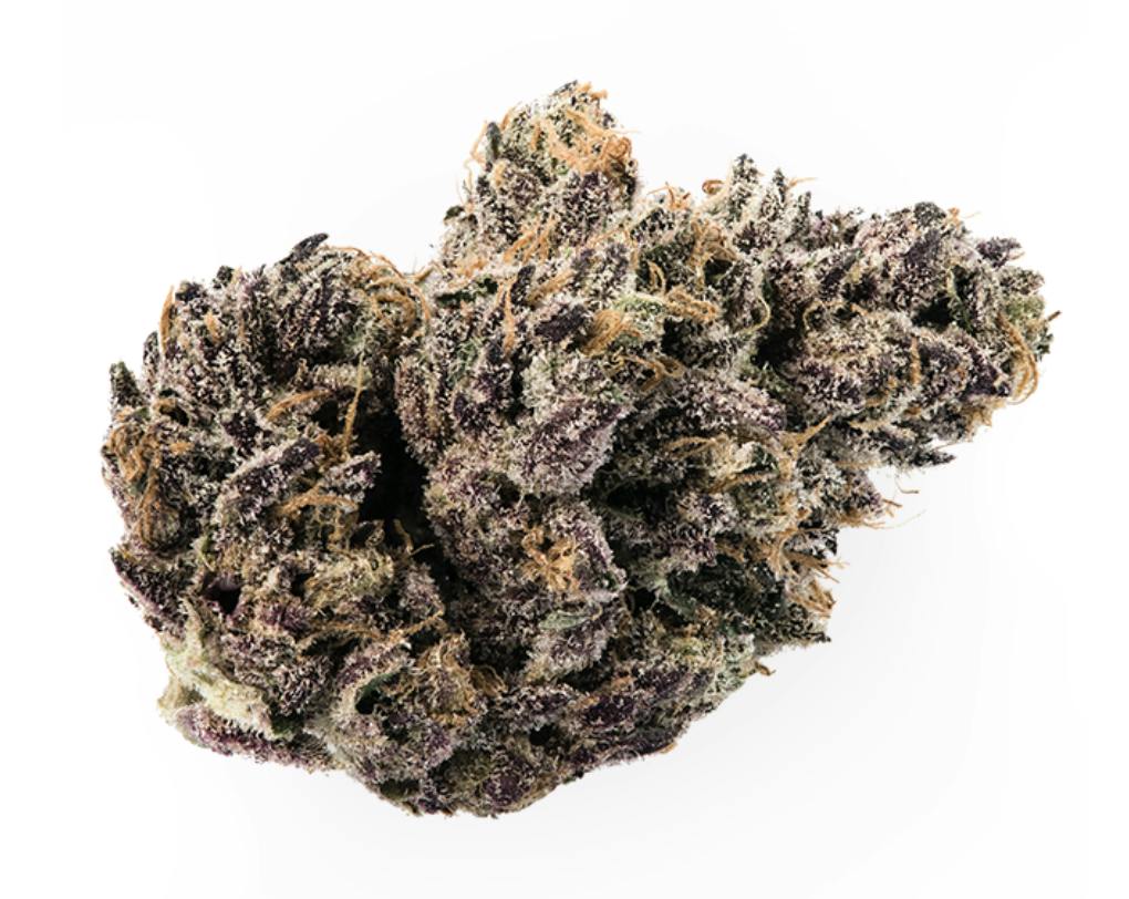 Prūf Cultivar | Mars Rover | Flower | 7G - Prūf Cultivar