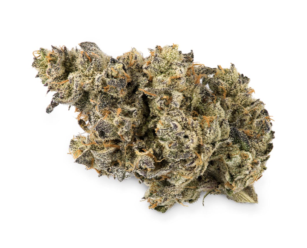 Prūf Ursa Major Flower