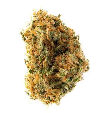 Prūf Crater Lake V7 Flower