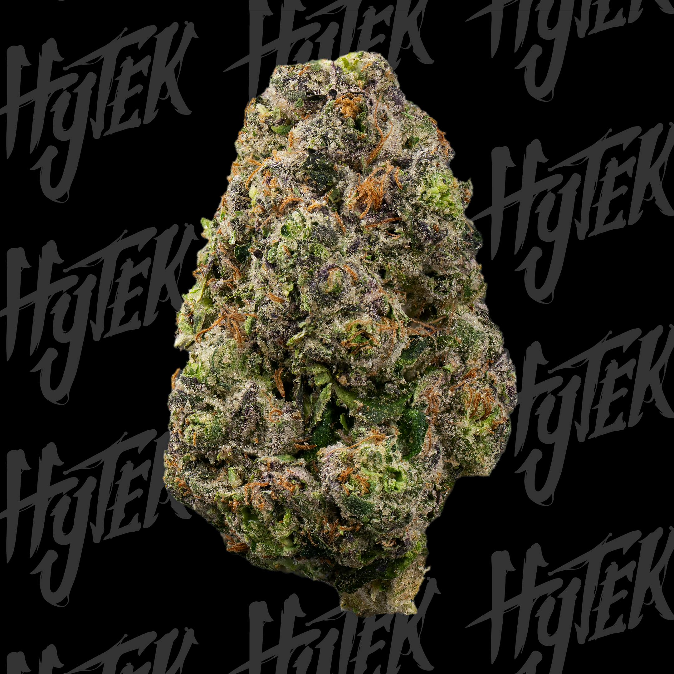 HYTEK | BUBBLEGUM SHERB | BULK DELI FLOWER by Hytek