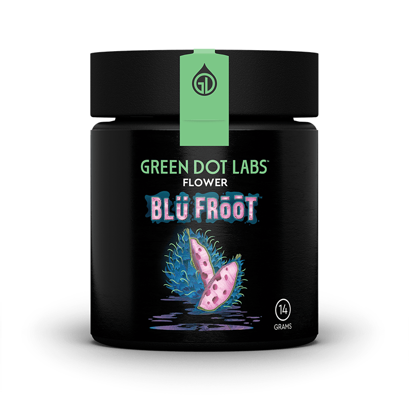 Gdl Originals Blu Froot
