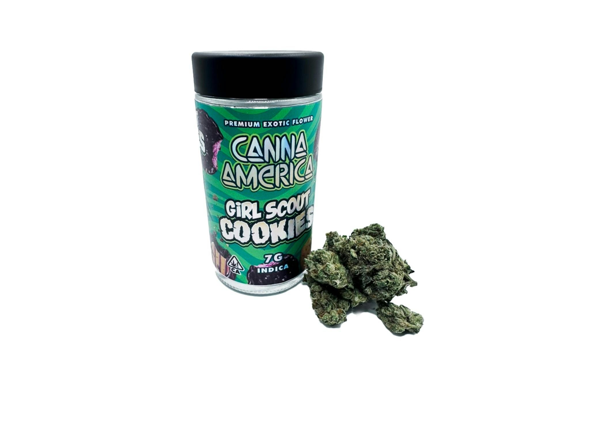 Canna America -: GSC