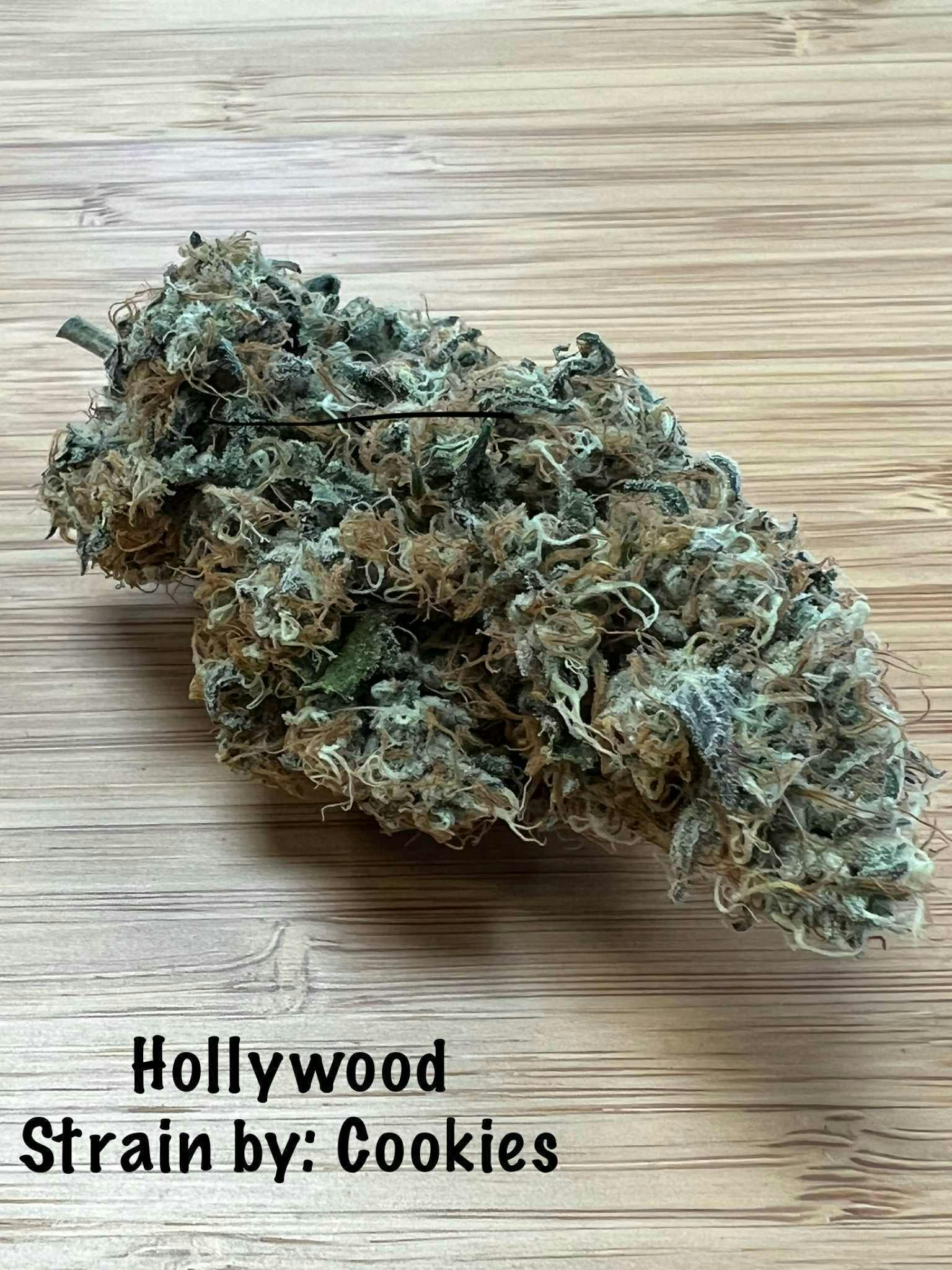 Hollywood at Lake Smoke Farm