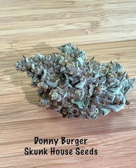 Donny Burger