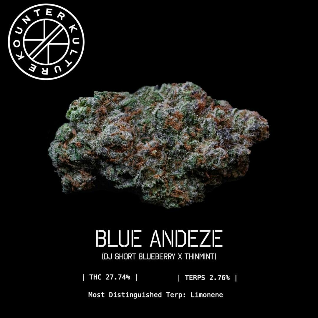 Kounter Kulture — Blue Andes