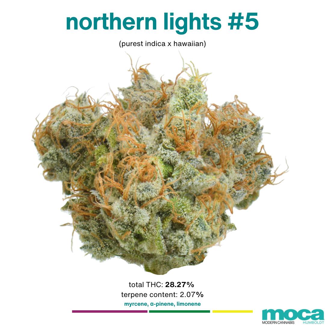 MOCA Humboldt — Northern Lights #5
