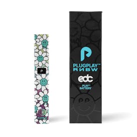 PLUGPLAY x RNBW EDC PLAY BATTERY