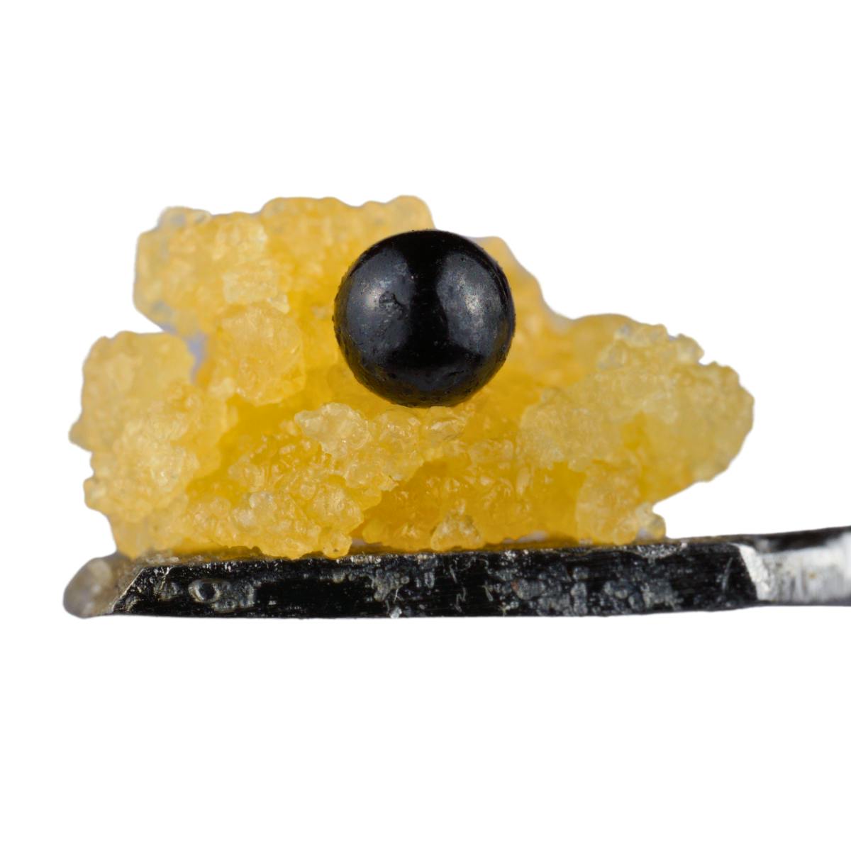 Kaligold extracts: Biskante X Gastro Pop