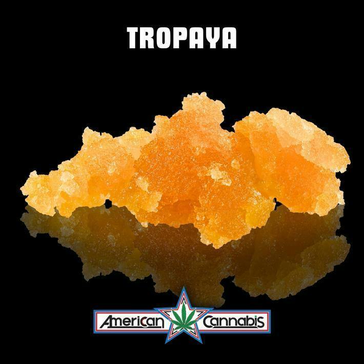 ACC Tropaya 1g (Hybrid)