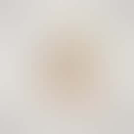 Platinum OG (I) Preroll (1g)