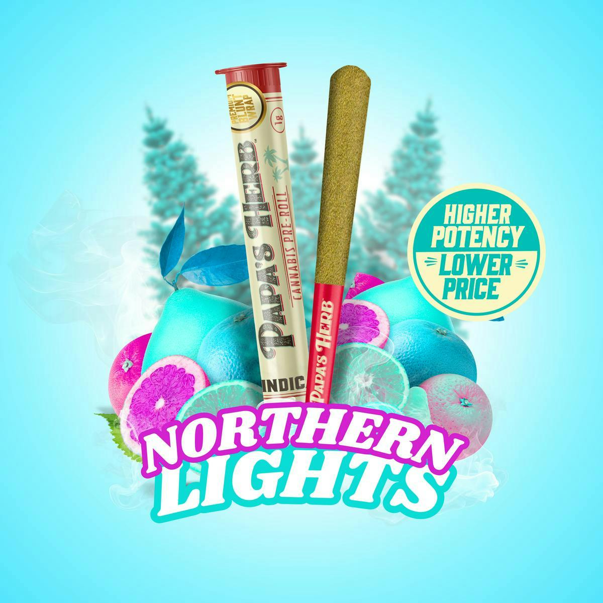 Northern Lights