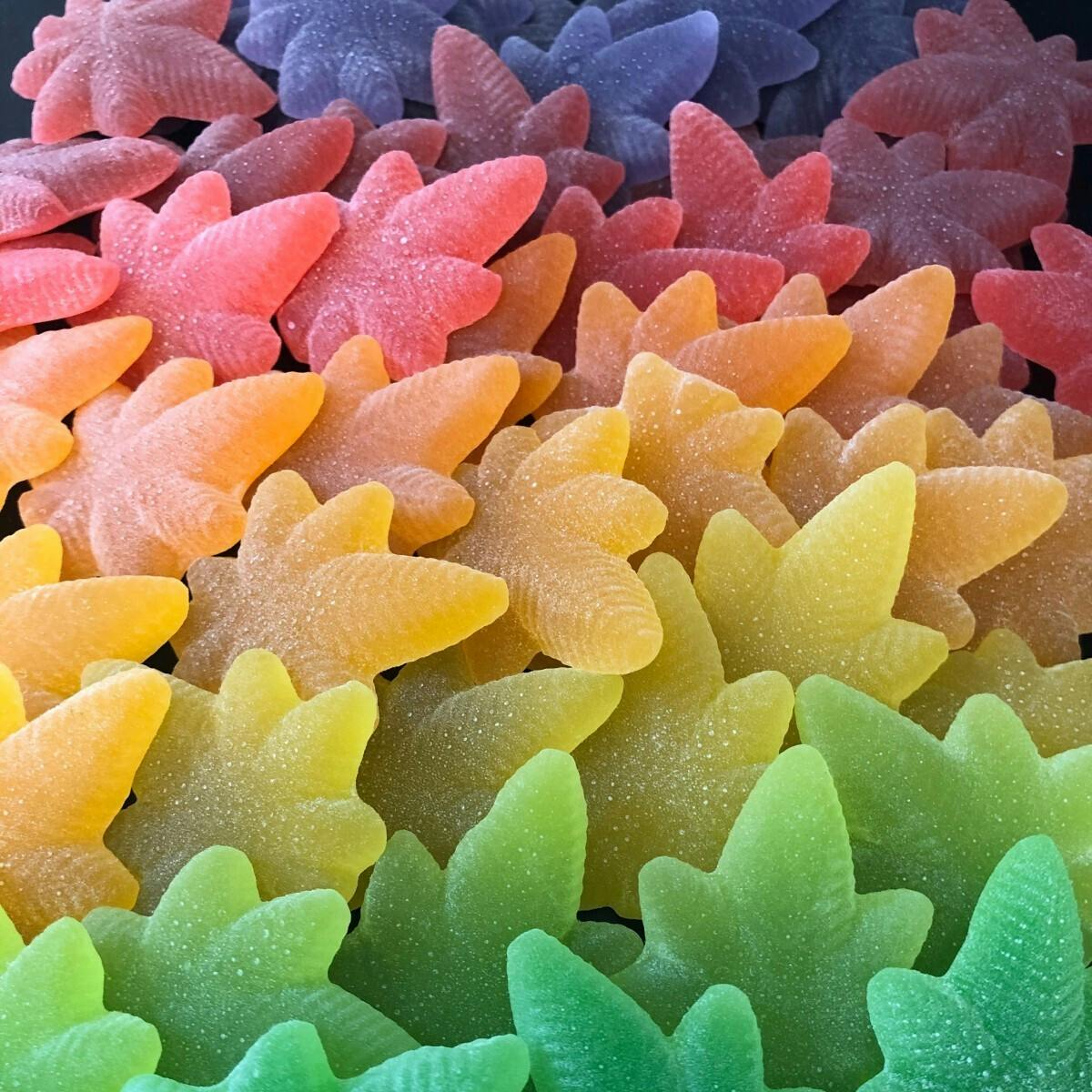 Aurora Borealis Variety Indica Boingos