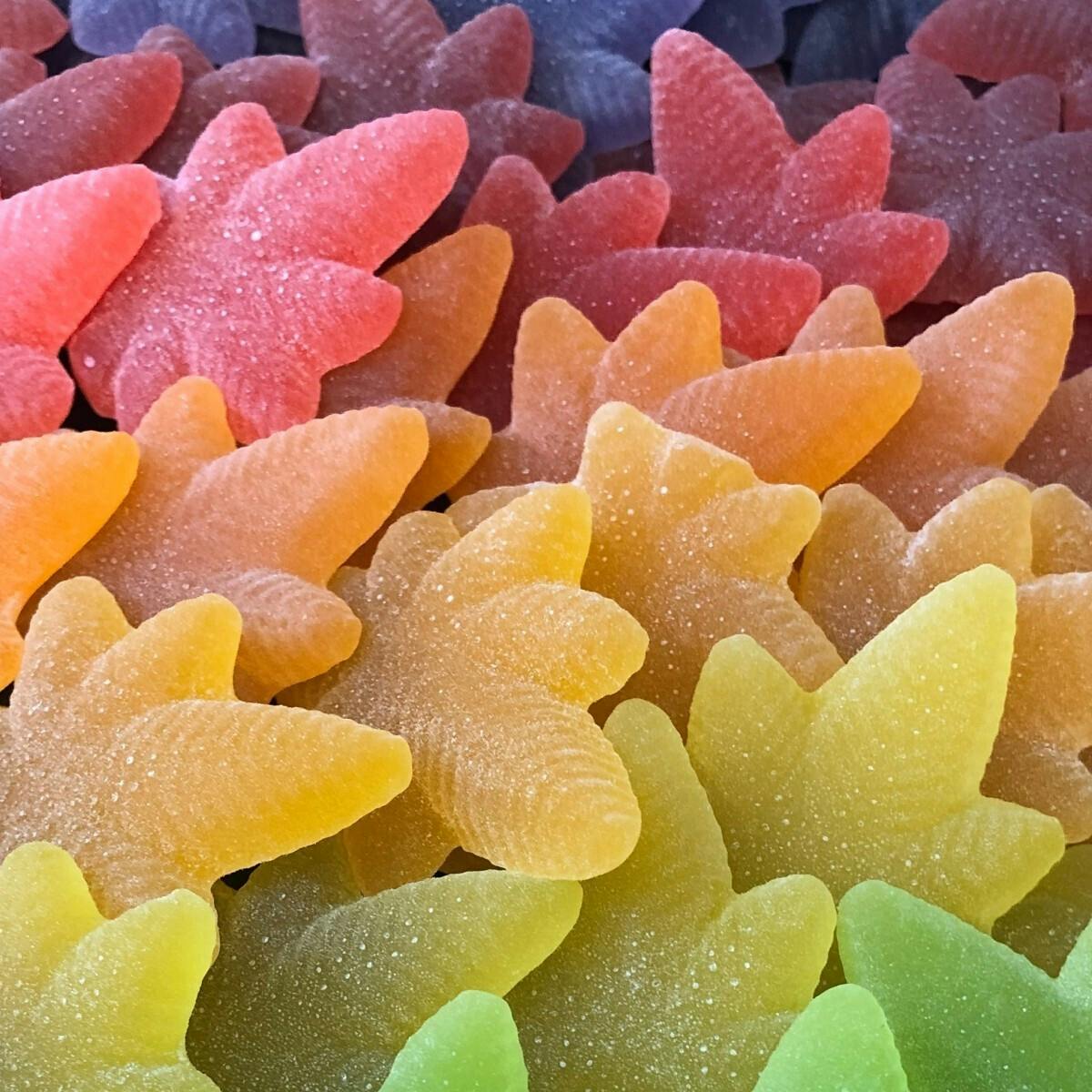 Alpenglow Variety Sativa Boingos 10pk