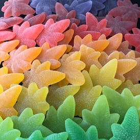 Raspberry Lemonade Indica Boingos | 10pk | 100mg total