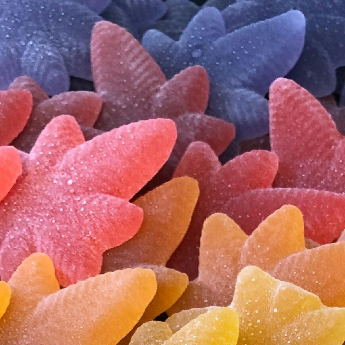 Bumbleberry Variety Indica Boingos 10pk