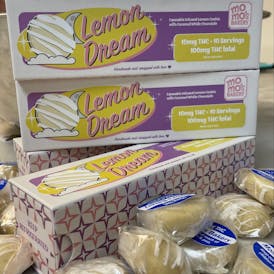 Lemon Dreams | 10pk | 100mg total