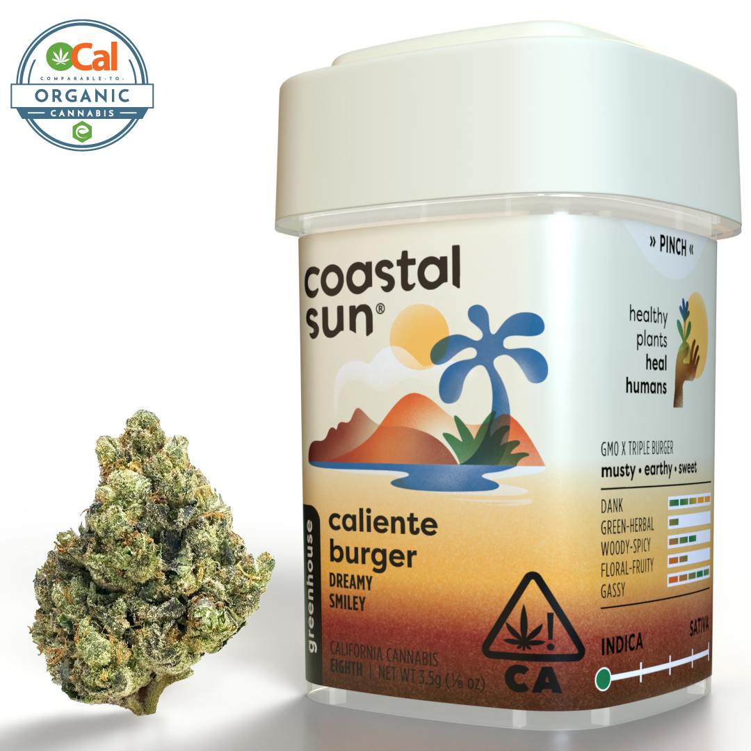Coastal Sun — Caliente Burger