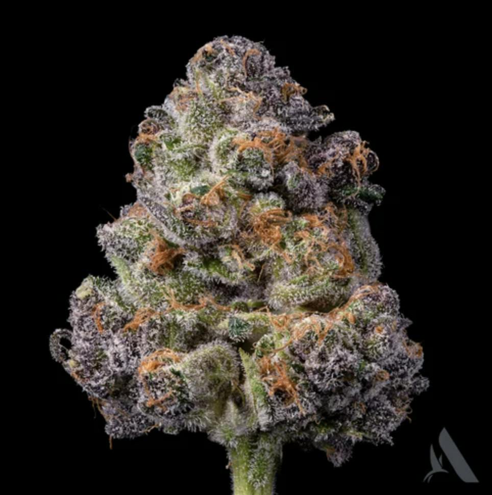 Affinity Grow | Superboo | Flower | 3.5G