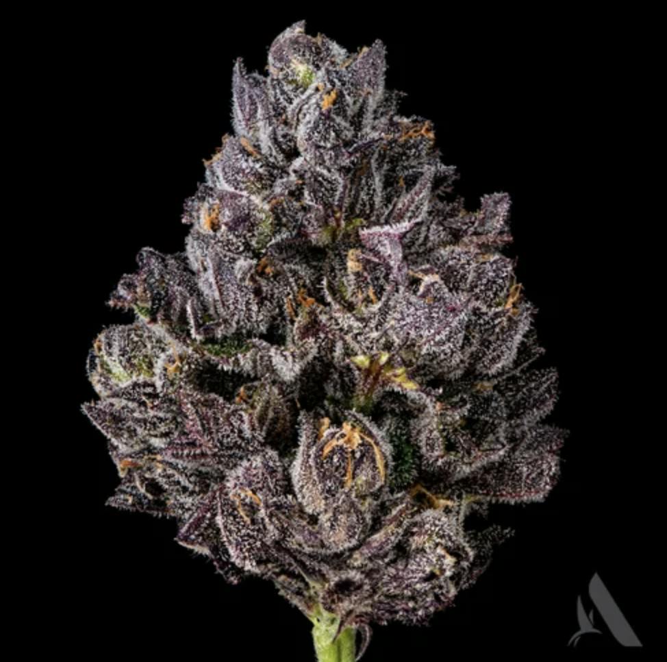 Affinity Grow | Grinz | Flower | 3.5G