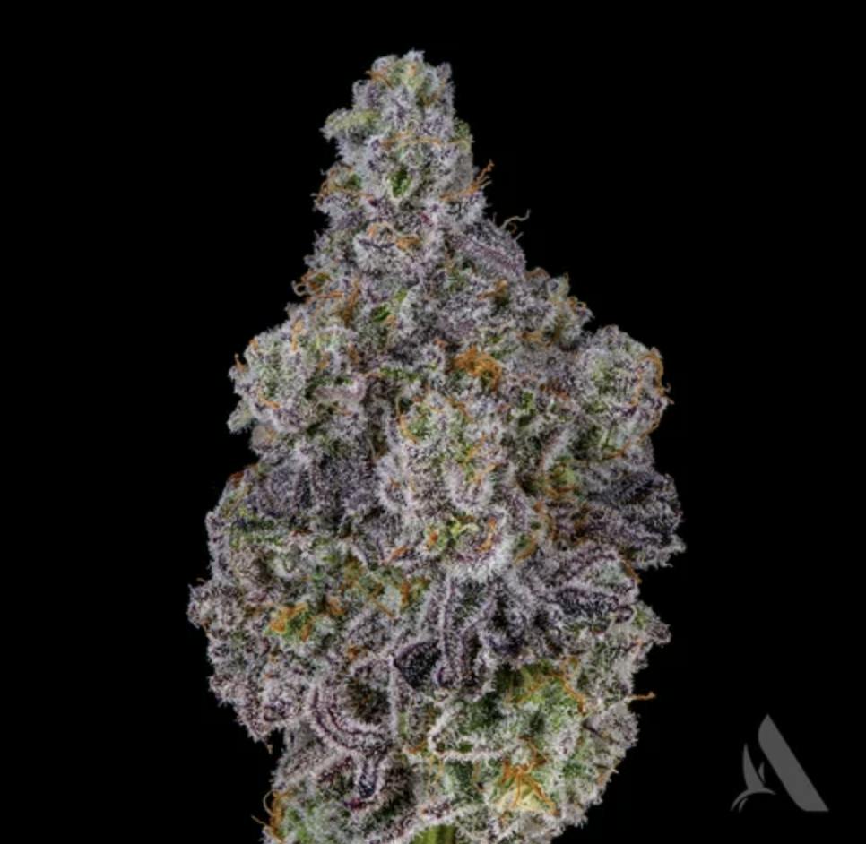 Affinity Grow | MAC-1 | Flower | 3.5G
