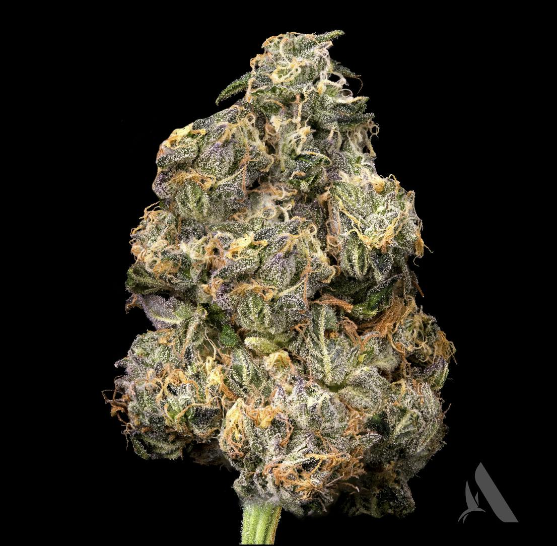 Affinity Grow | Medellin | Flower | 3.5G