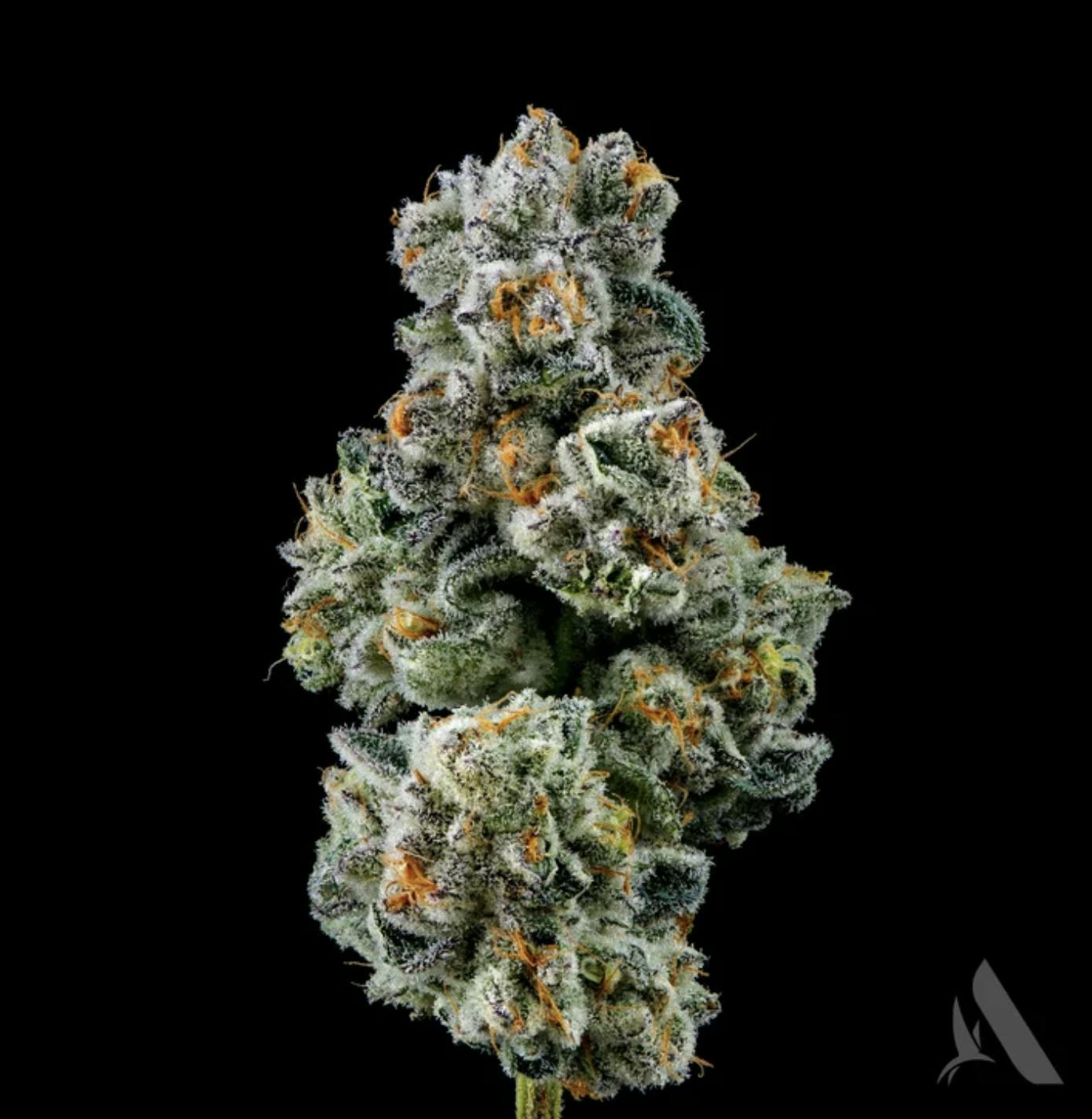 Affinity Grow | Capy | Flower | 3.5G