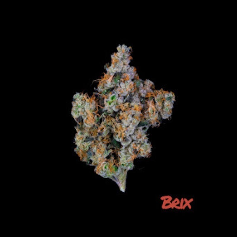 Brix | 3.5g Flower - Gush Mintz