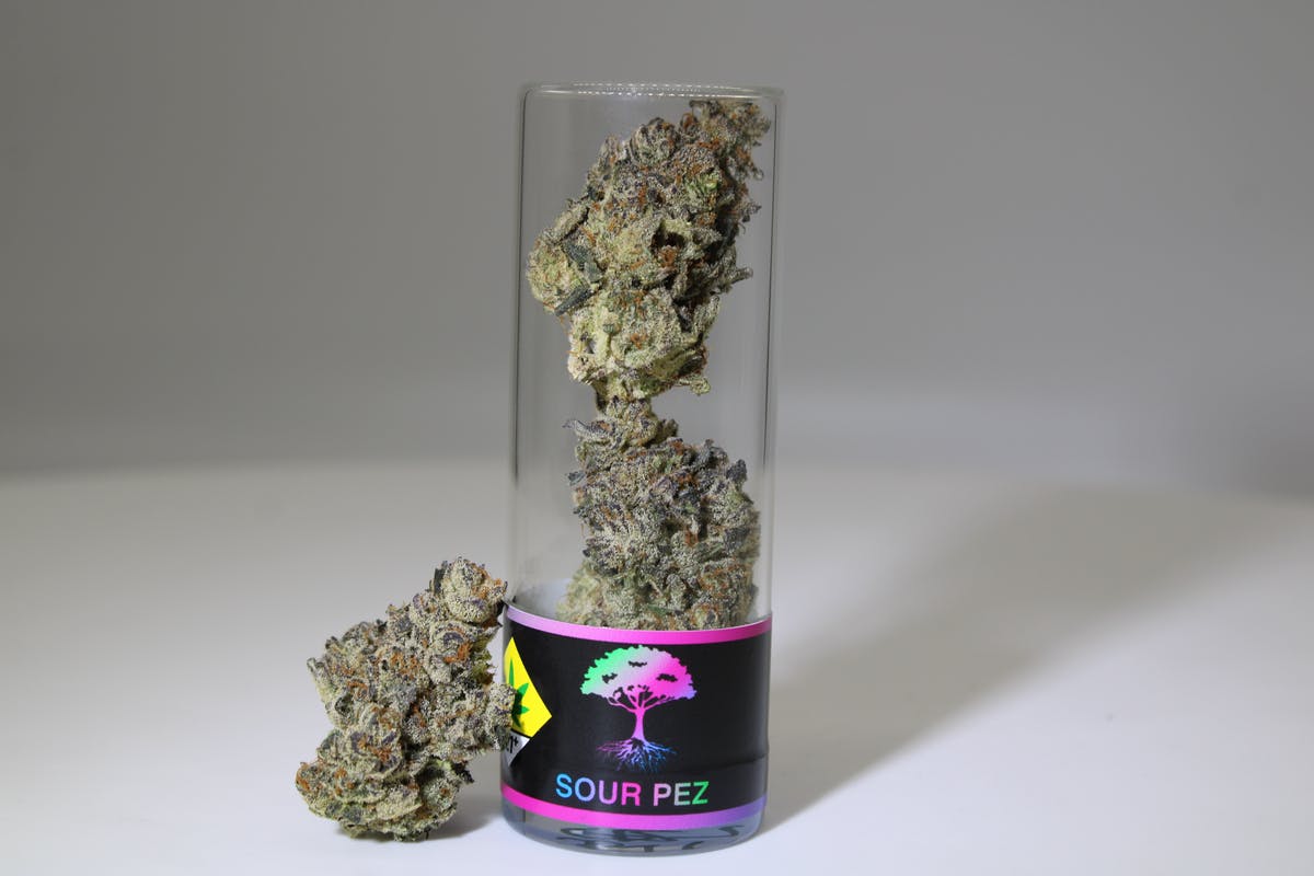 Sour Pez Indoor Flower Indica