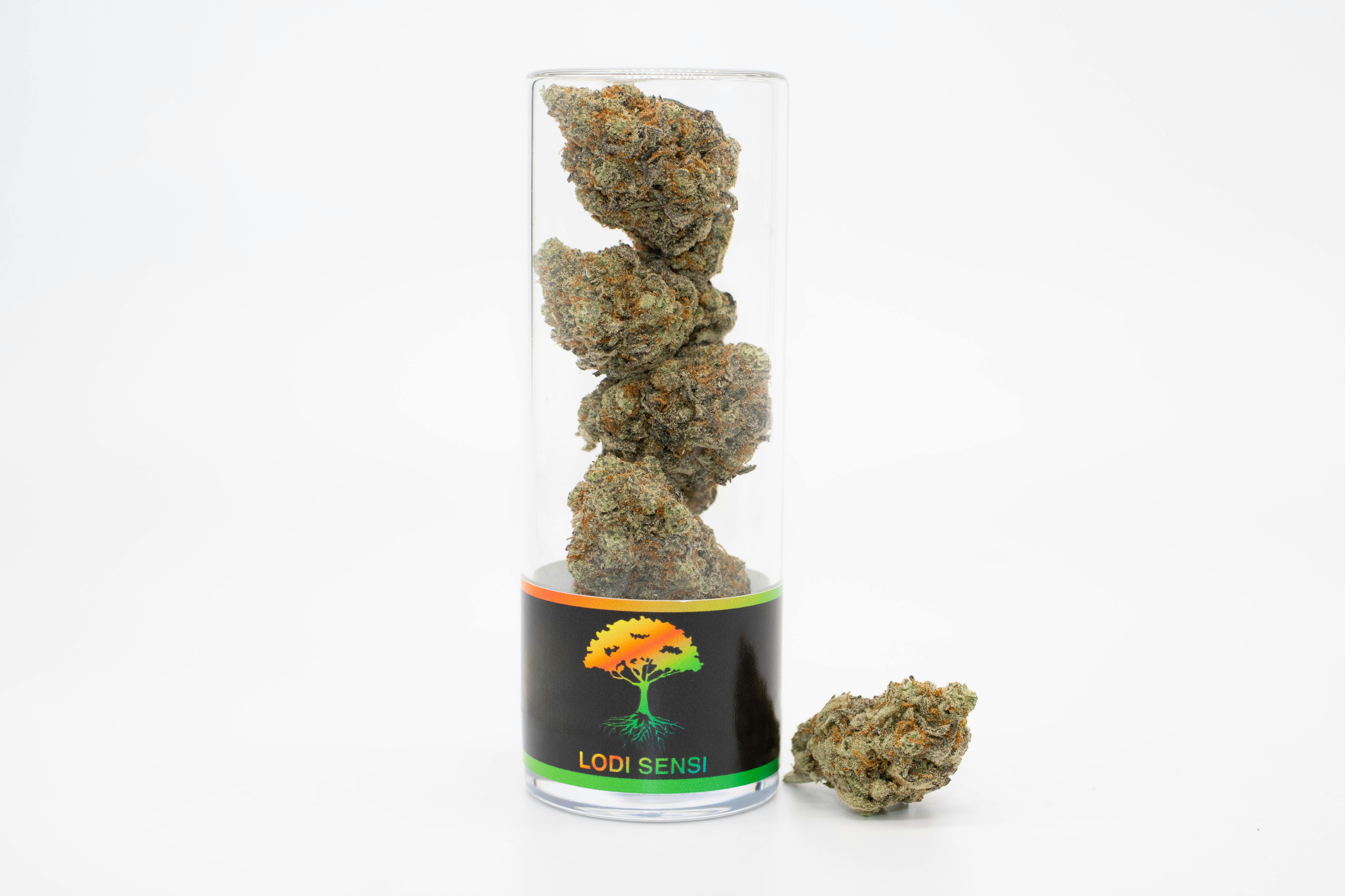 Blue Roots Cannabis Co | Lodi Sensi Indoor Flower (Hybrid)
