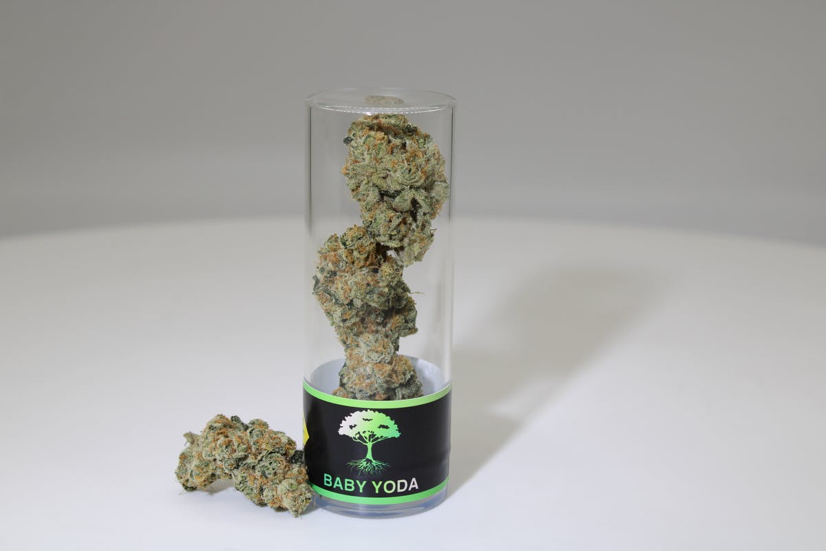 Blue Roots Cannabis Co | Baby Yoda Indoor Flower (Hybrid)