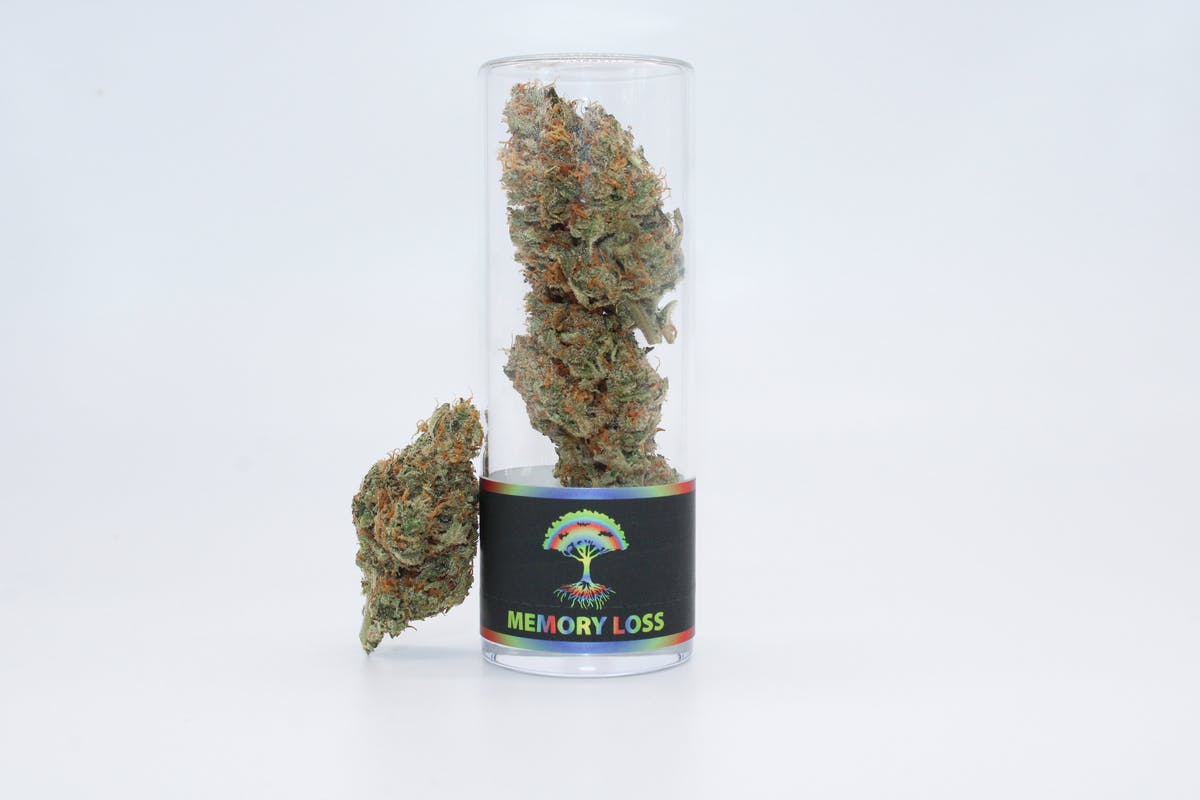 Blue Roots Cannabis Co | Memory Loss Indoor Flower (Sativa)