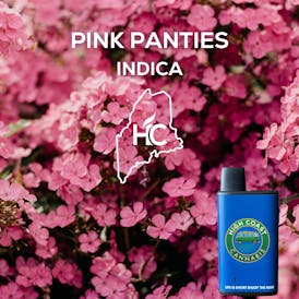 High Coast 1G Disposable (Pink Panties)
