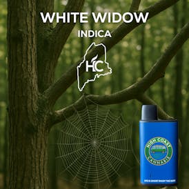 High Coast 1G Disposable (White Widow)