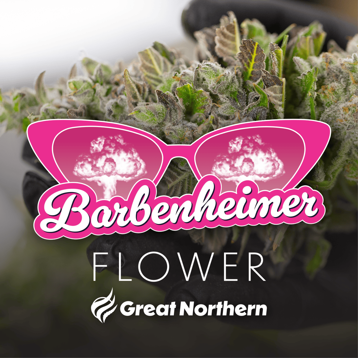 Barbenheimer Flower Indica