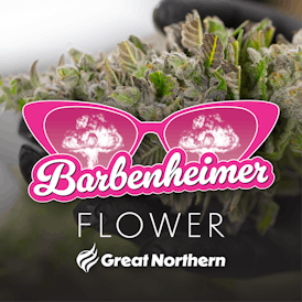 Great Northern Cannabis Barbenheimer Flower (Indica)