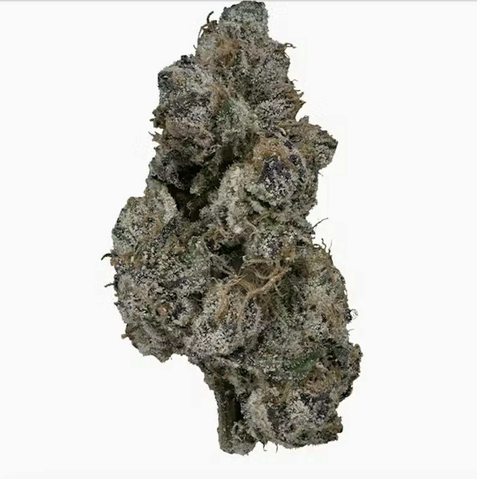 Blue Nerdz - Premium Shelf - HYBRID - Frostiez
