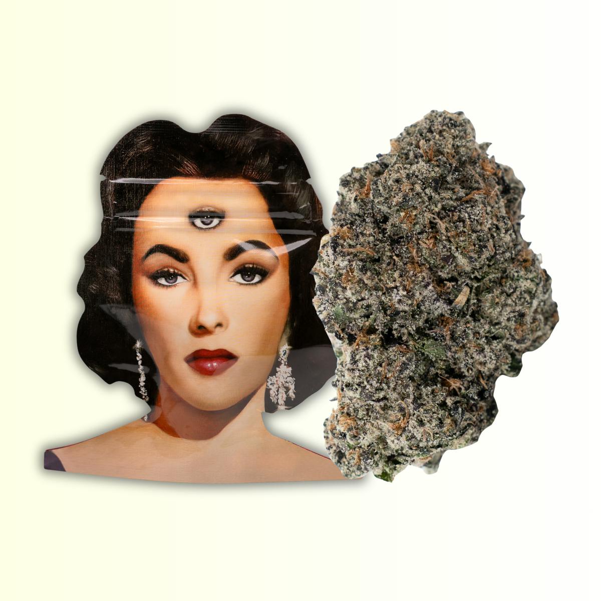 Foreign Genetics Inc.: The Liz
