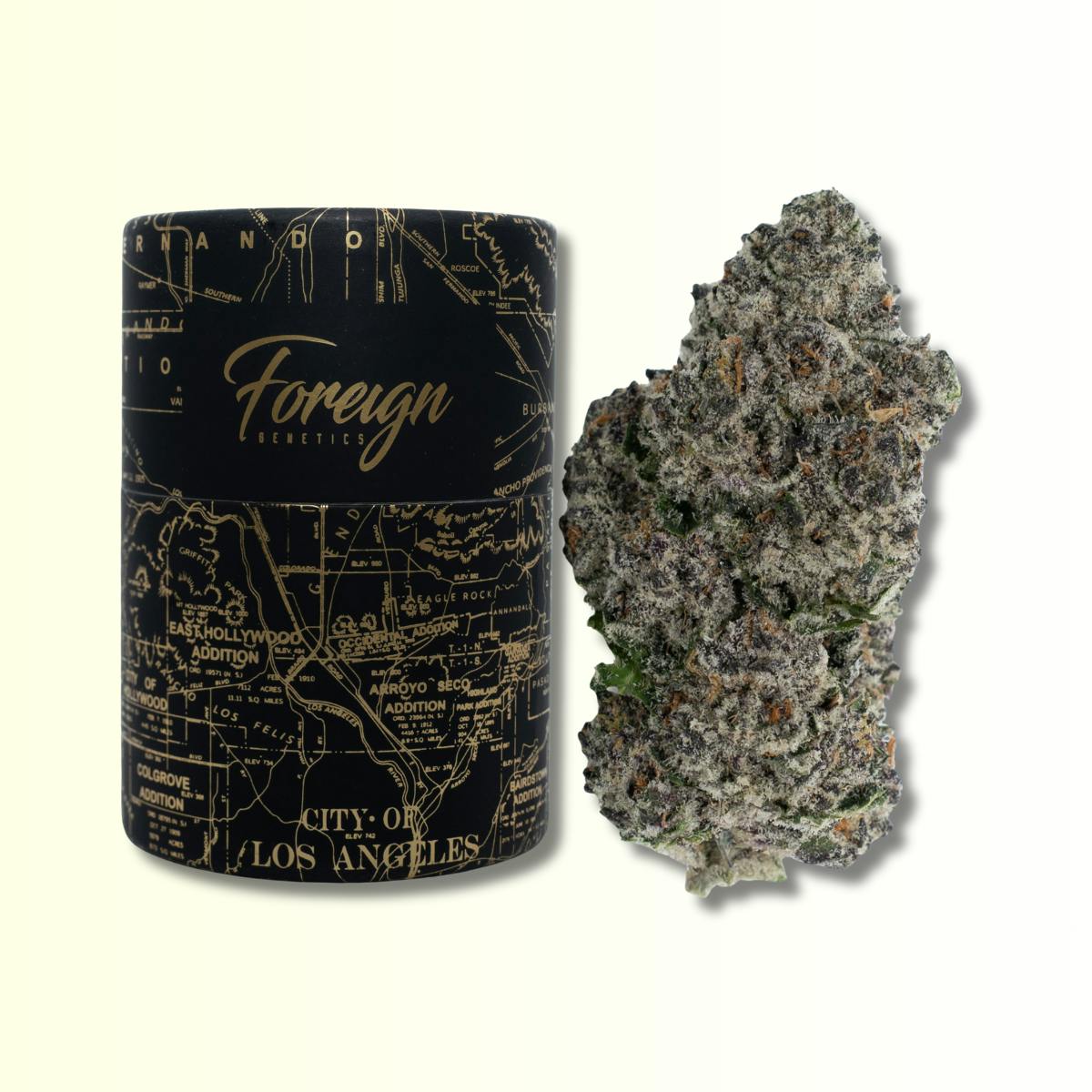 Foreign Genetics Inc.: Night Moves