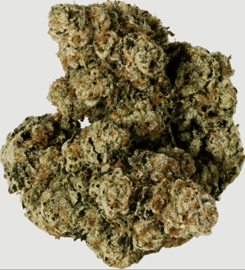 Cannect | Motorbreath 15 | Flower | 3.5G