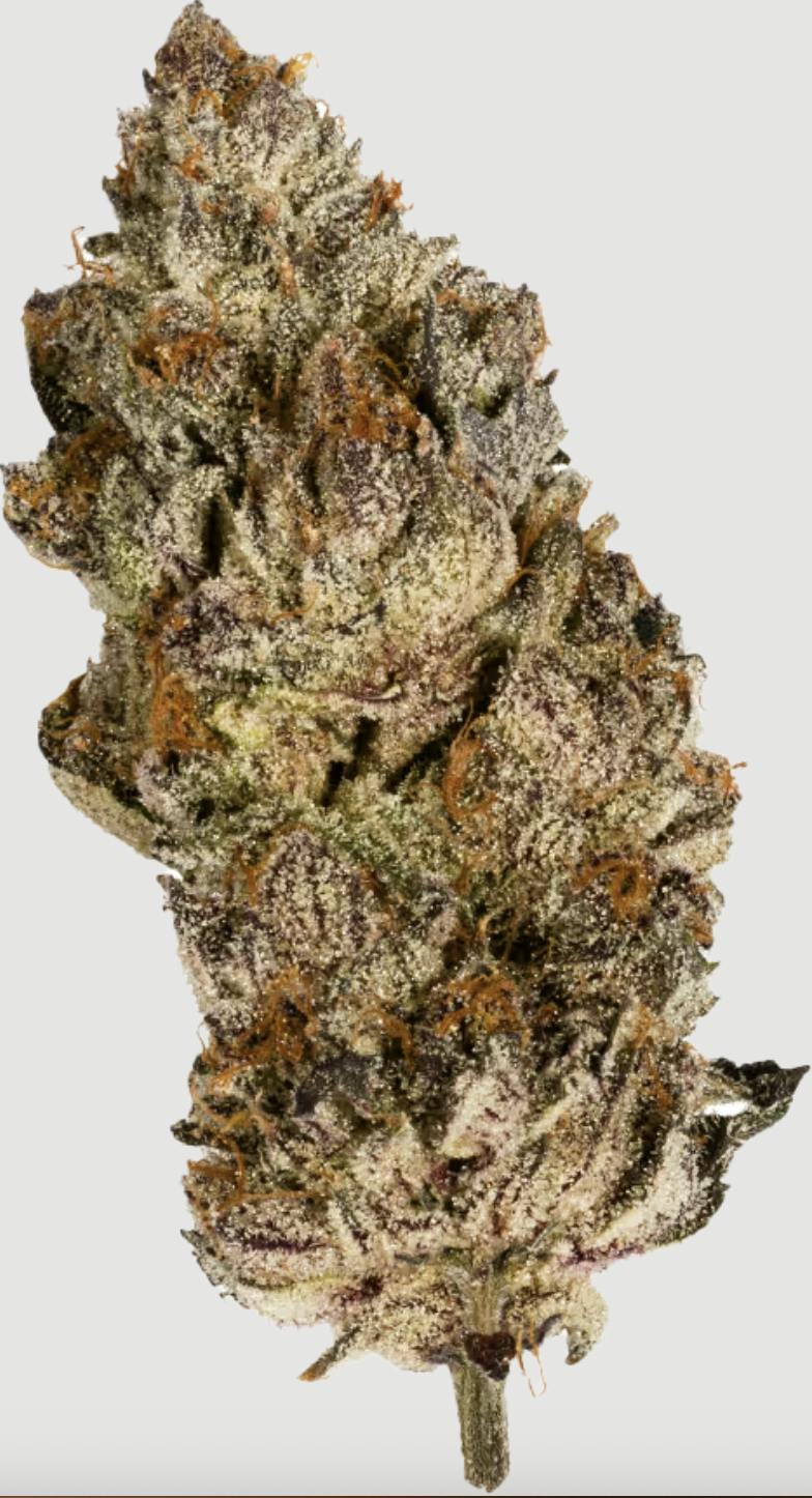 Cannect Acai Gelato x Sherb