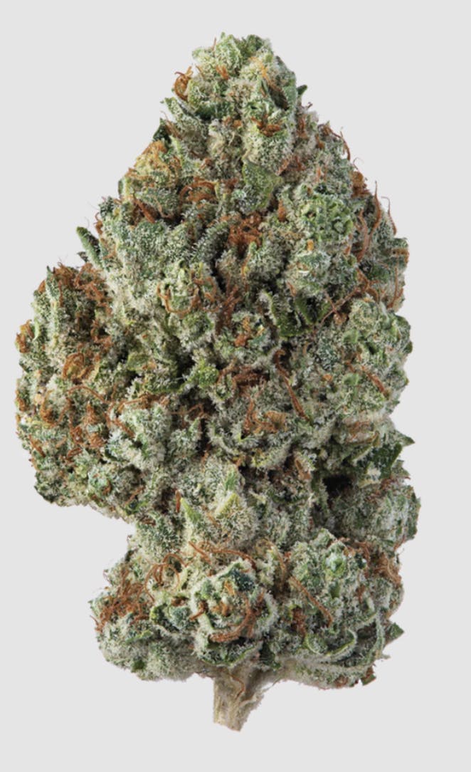 14g Khalifa Kush Flower by Khalifa Kush
